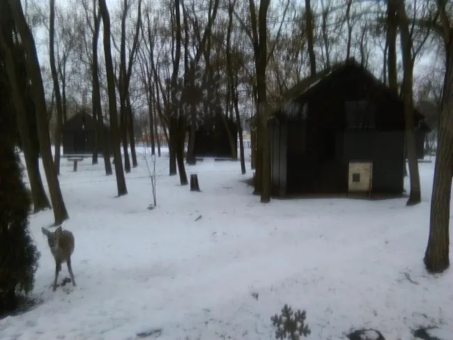A téli tábor