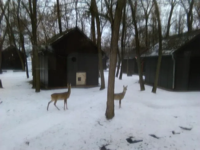 A téli tábor