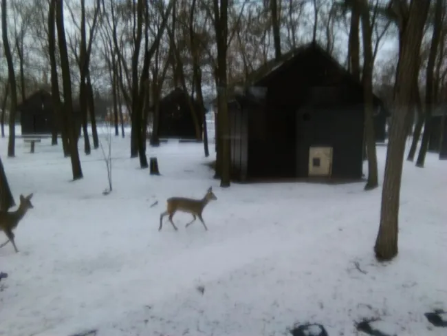 A téli tábor