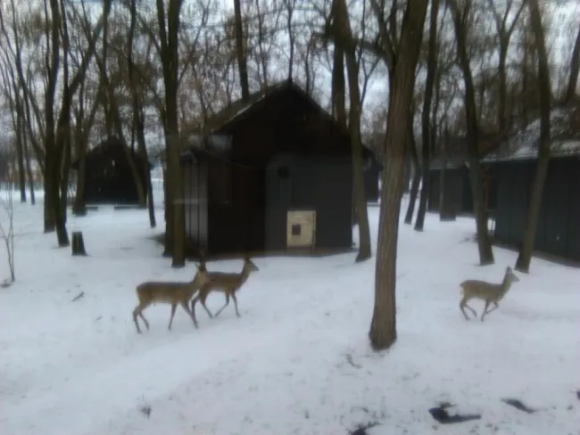 A téli tábor